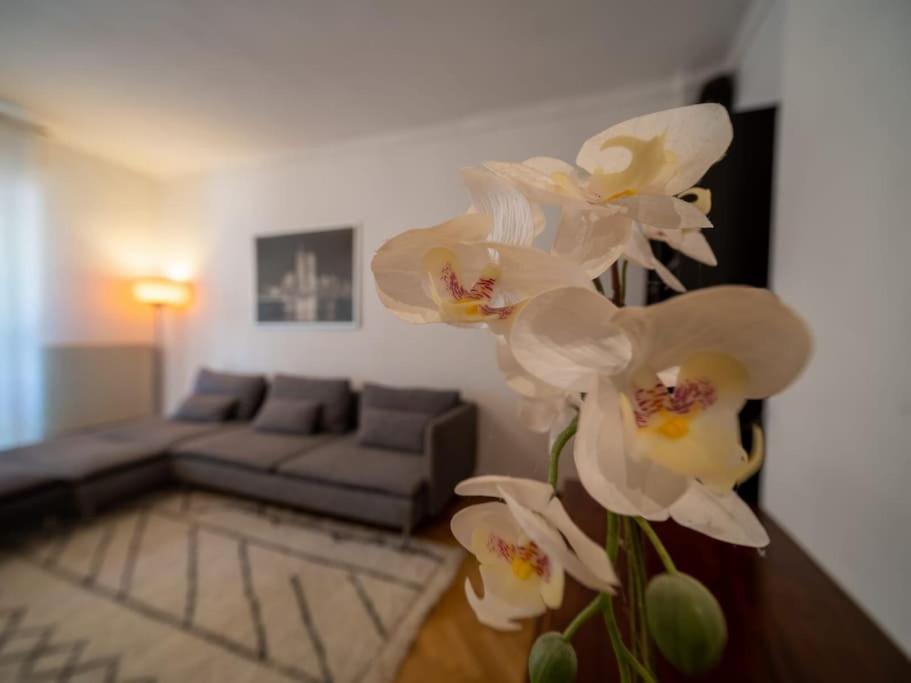 מרסיי Appartement Climatise Tout Equipe A Cote Du Stade Velodrome מראה חיצוני תמונה